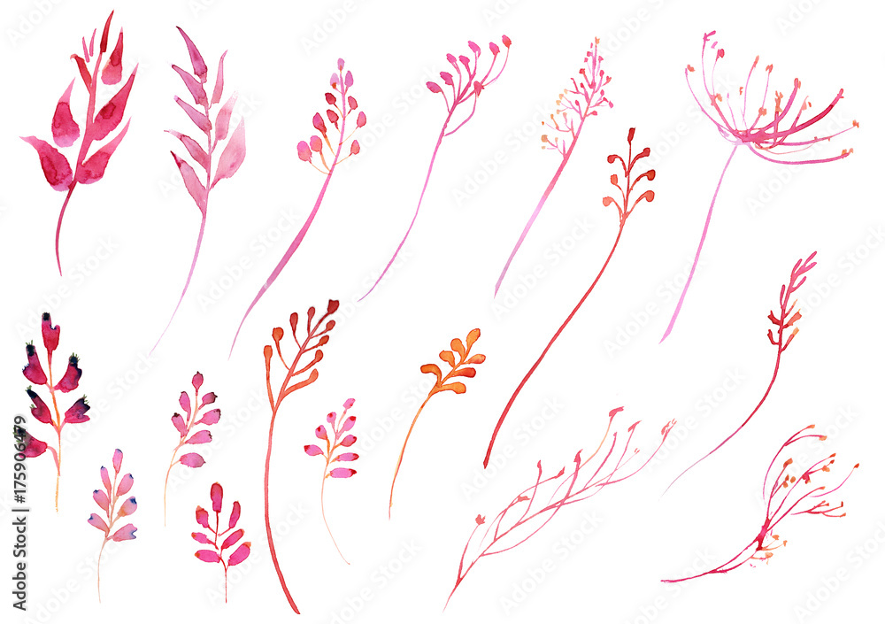 Romantic watercolor pink branch and flowers collection
