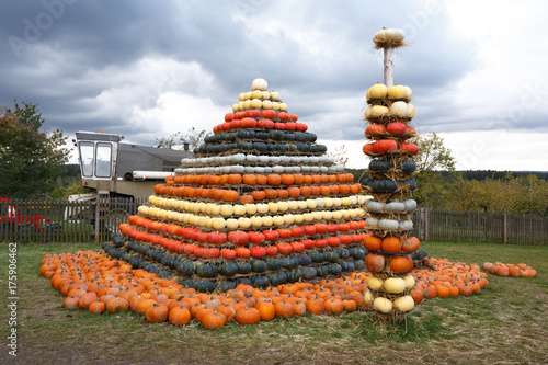 Autumn harvested pumpkins arranged for fun like pyramid