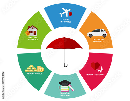 Insurance type and variety infographic chart icon vector illustration