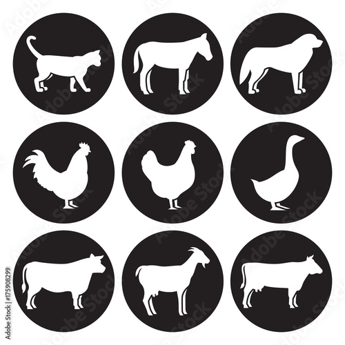 Farm animals silhouettes icons set