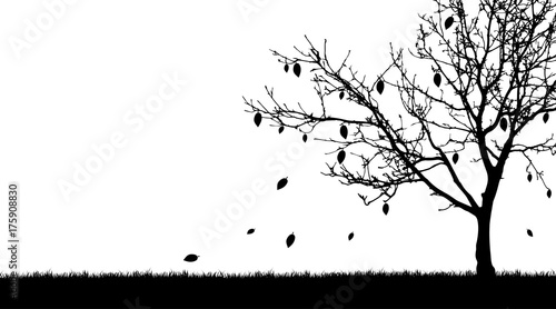 Vector silhouette of tree on white background.
