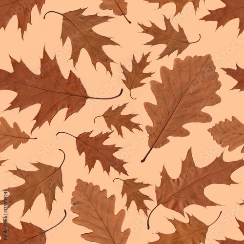 seamless autumn pattern