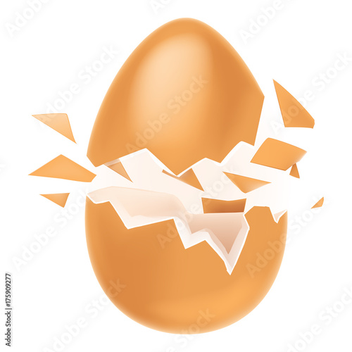 Beautiful, realistic, delicious broken egg with flying eggshell, isolated on white background, vector illustration