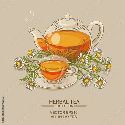chamomile tea illustration