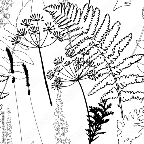 Floral vector seamless pattern with wild flowers, fern leaves and evergreen p...