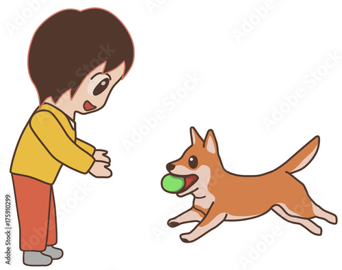 ボールを持って来る犬　柴犬