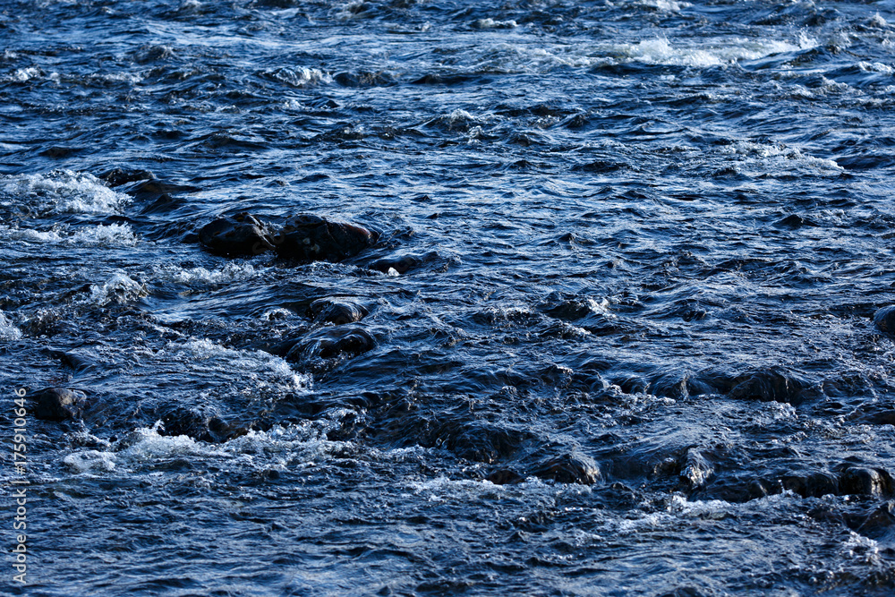 Obraz premium Rapid stream of a mountain river