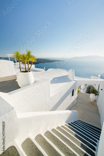 White walls and pot plants along a walkway in Santorini, Greece.White walls and pot plants along a walkway in Santorini, Greece.