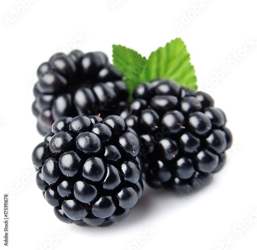 Blackberry fruit .