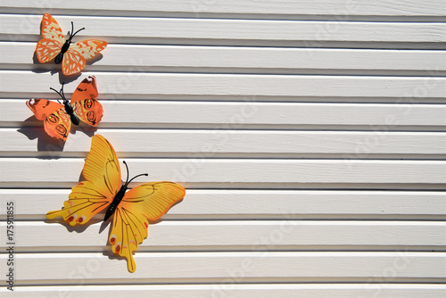 photography picture of fun colourful yellow orange butterflies in the sunshine on white wood background taken on South coast of Englandf UK