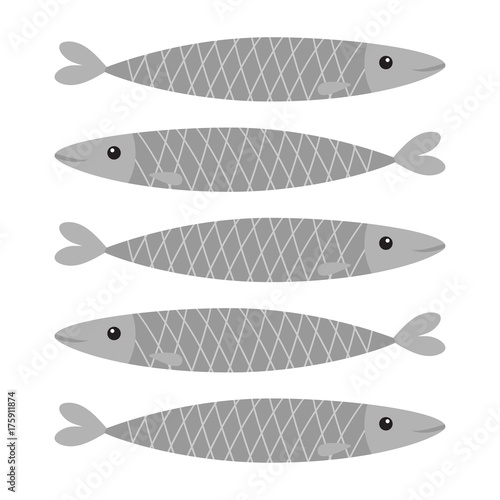 Sardine gray fish icon set. Iwashi. Sardina pilchardus. Cute cartoon character. Anchovy pilchard. Water animal. Marine life. Flat design. White background. Isolated.