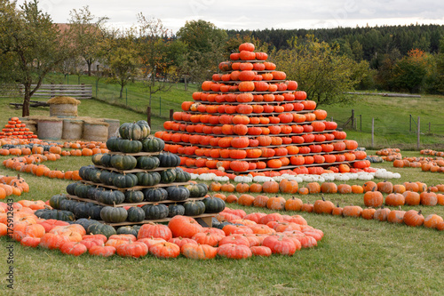 Autumn harvested pumpkins arranged for fun like pyramid