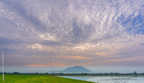 sunset paddy field with hill.Long Exposure Shot.  Soft Focus. Copy Space Area