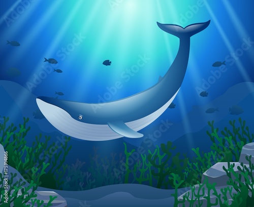 Cartoon whale with Coral Reef Underwater in Ocean. Vector illustration