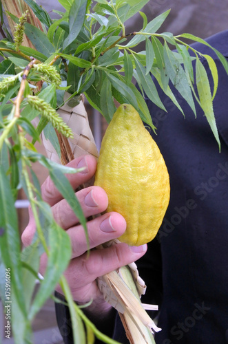 Jewish orthodox man holds the Four Species photo