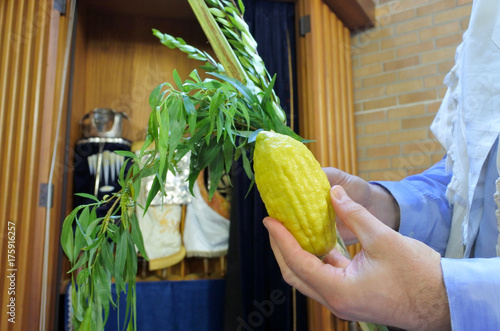 Jewish man holds the Four Species photo