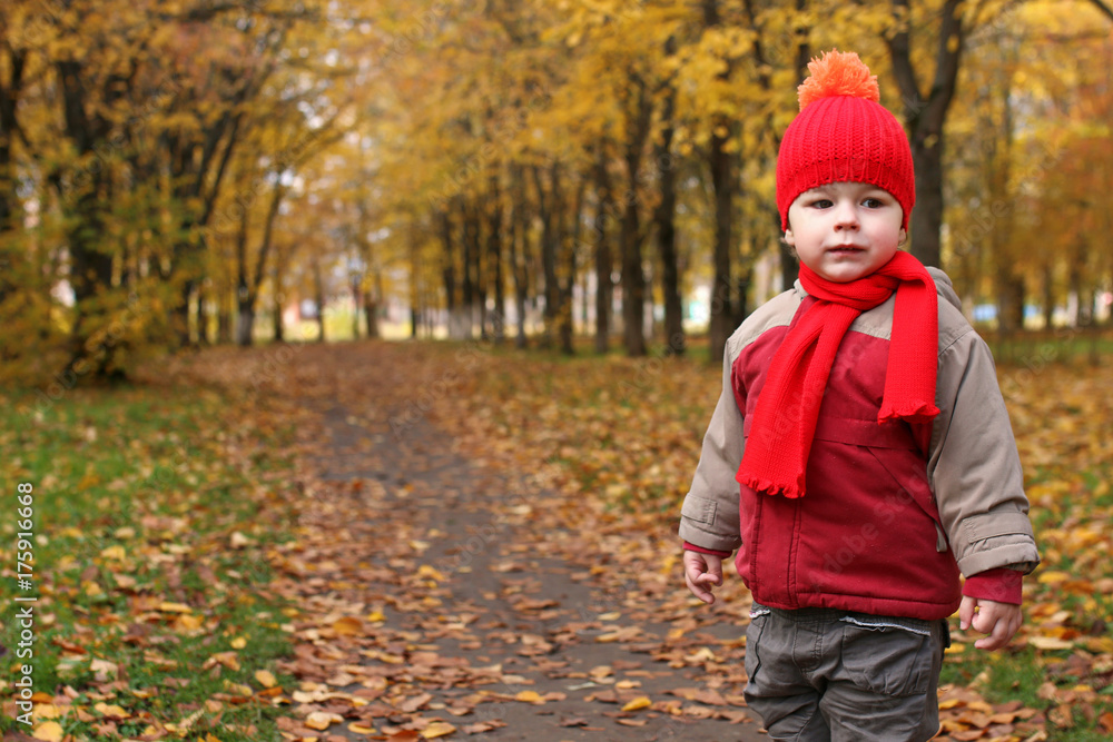 kids in autumn park with pumpkin kids in autumn park with pumpkin