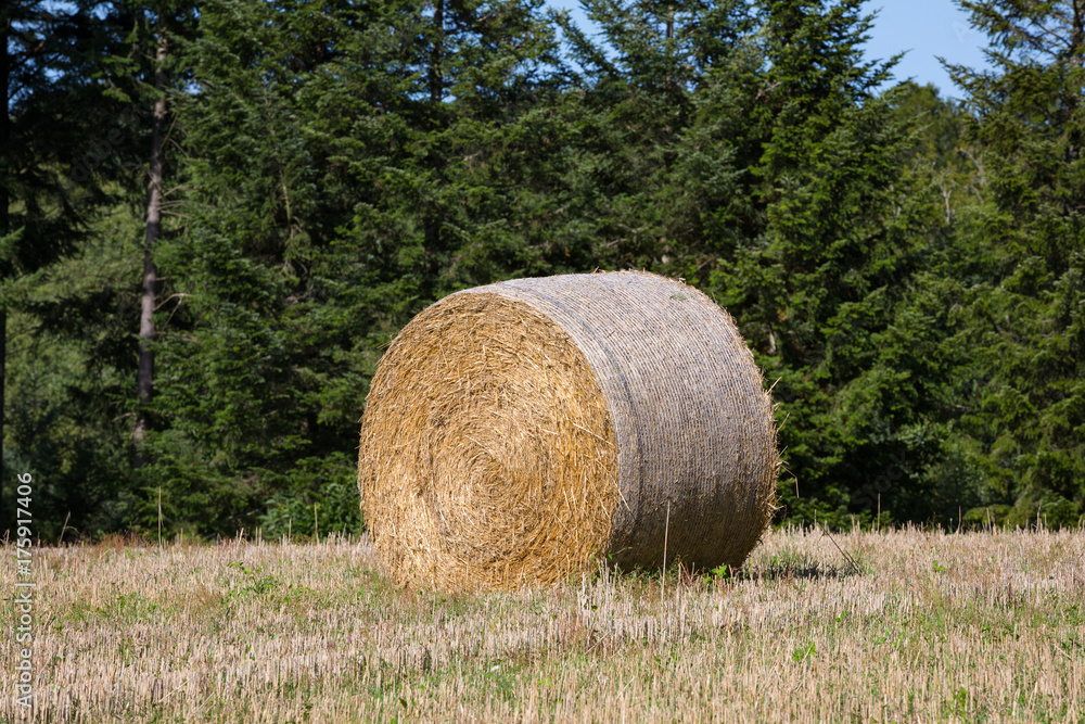 LIMOUSINE, FRANCE - JULY 5, 2017: Freshly cut hay compressed in a bale with a net wrap around it. LIMOUSINE, FRANCE - JULY 5, 2017: Freshly cut hay compressed in a bale with a net wrap around it.
