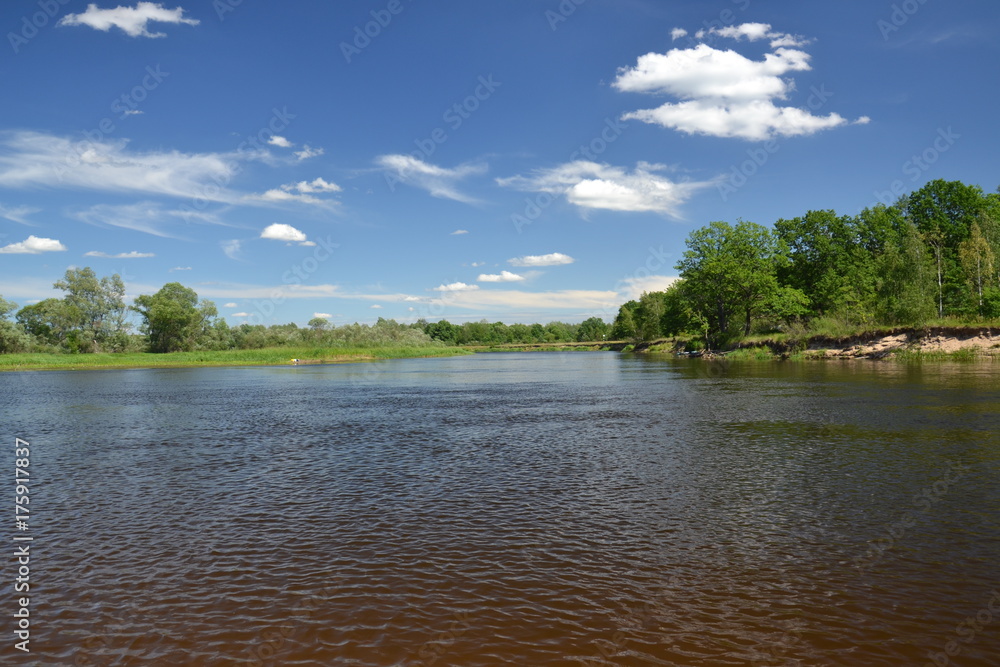 Obraz premium river