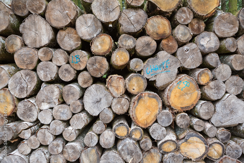 Abstract view on old stacked or piled sawn tree trunks. Abstract view on old stacked or piled sawn tree trunks.