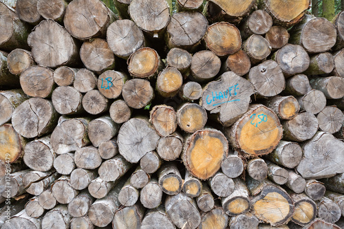 Abstract view on old stacked or piled sawn tree trunks.