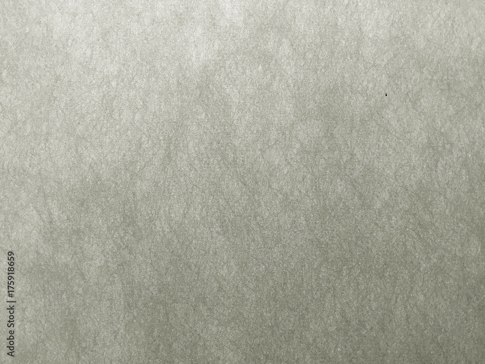 Fototapeta premium Modern wall decoration with gray concrete mortar.