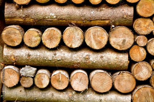 Abstract photo of a mixture of symmetric pile of natural wooden logs background  top view.