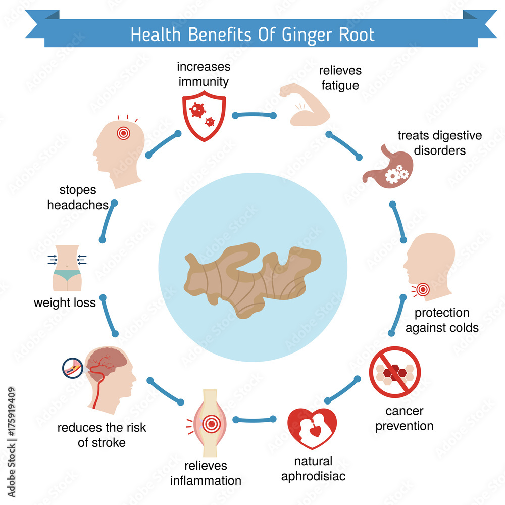 Obraz premium Foods infographics. Ginger root.