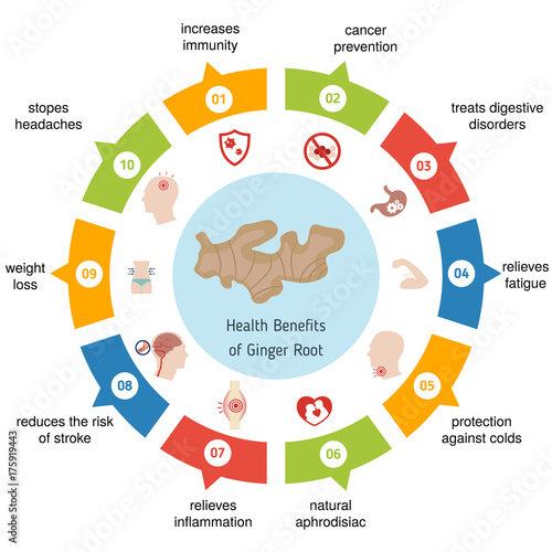 Foods infographics. Ginger root.