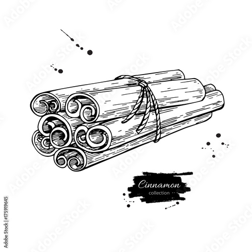 Cinnamon stick tied bunch Vector drawing. Hand drawn sketch. Sea