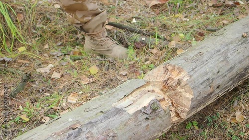 Close up view of axe in big tree, blurred lumberjack 's legs on background photo