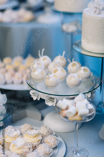 White chocolate cupcakes and cookies served on wide plates © myronovychoksana