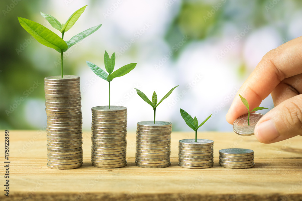 Hand put sapling growing up on stacked of money coins on green bokeh background. Hand put sapling growing up on stacked of money coins on green bokeh background.