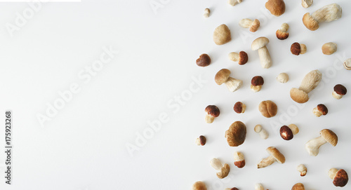 white mushrooms on white table, top view