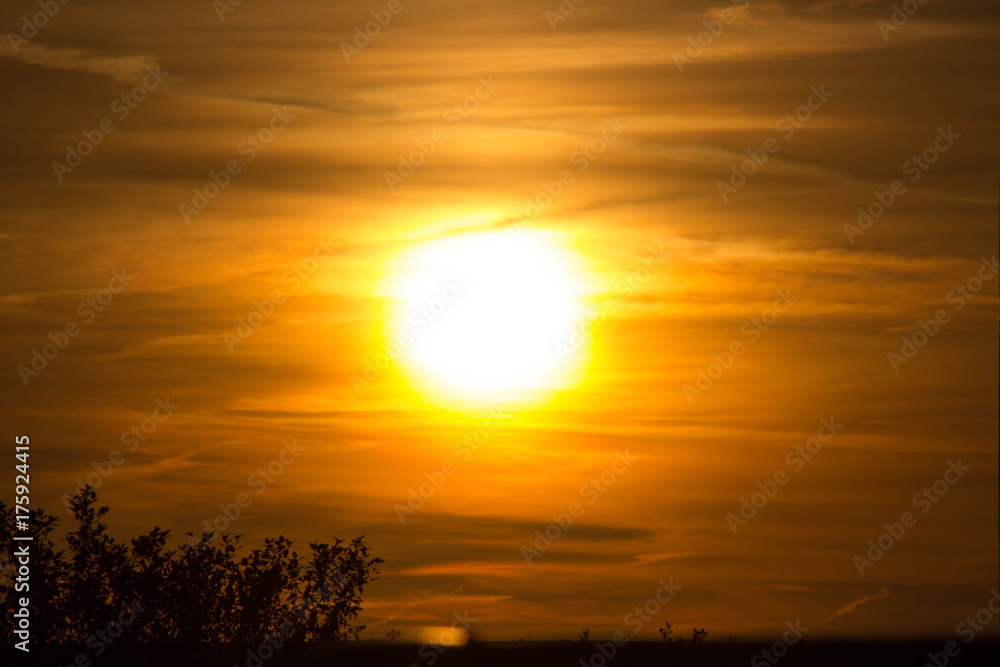 Staring at the Sun Staring at the Sun