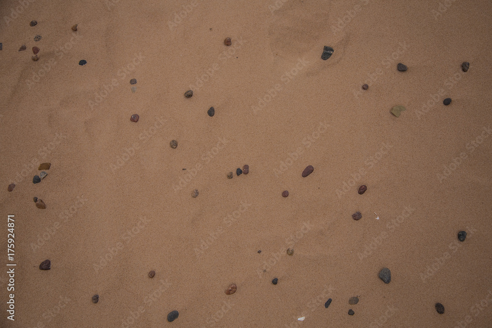 A beautiful sea sand pattern on a beach. Baltic sea shore sand texture. A beautiful sandy pattern for background.