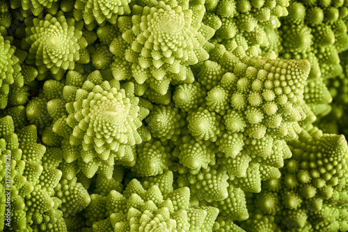 Romanesco broccoli vegetable close up photo