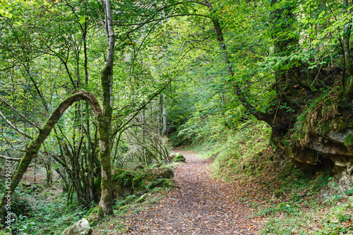 Ruta del Alba. Parque Natural de Redes, Asturias, España. 