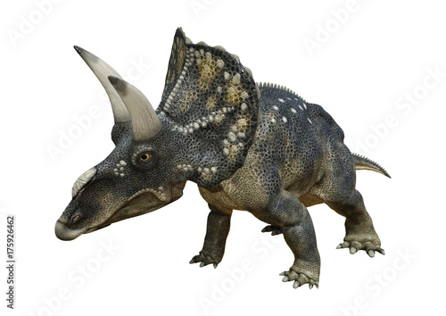 3D Rendering Dinosaur Diceratops on White © photosvac