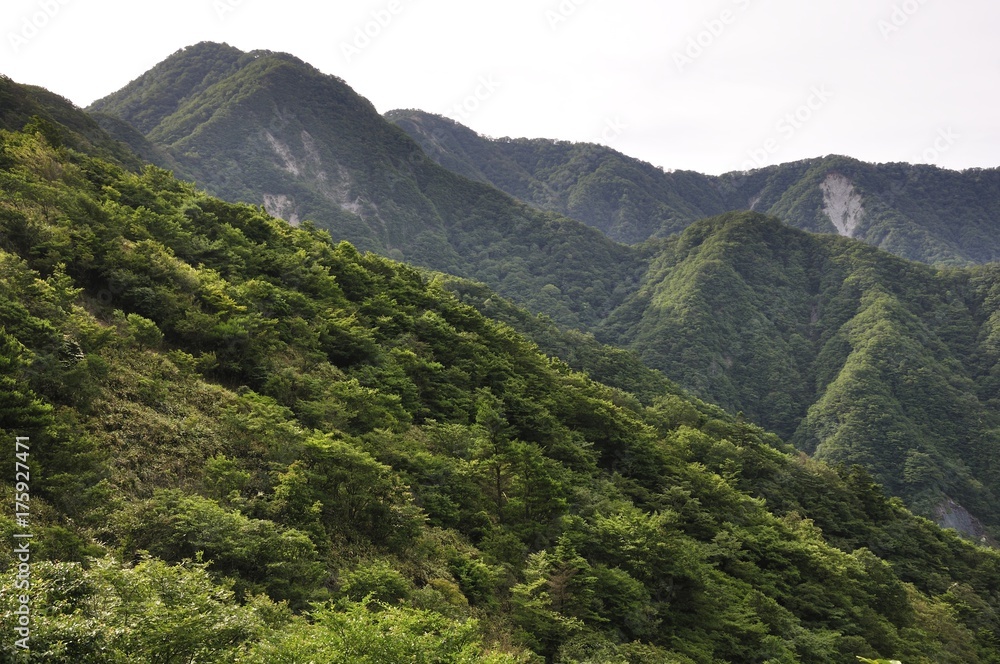 Fototapeta premium 犬越路からの大笄と檜洞丸の山並み