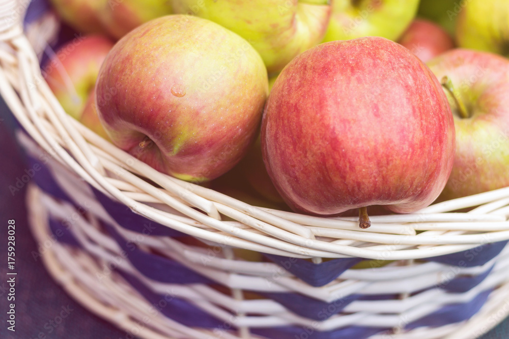 autumn harvest composition with apples in the basket autumn harvest composition with apples in the basket