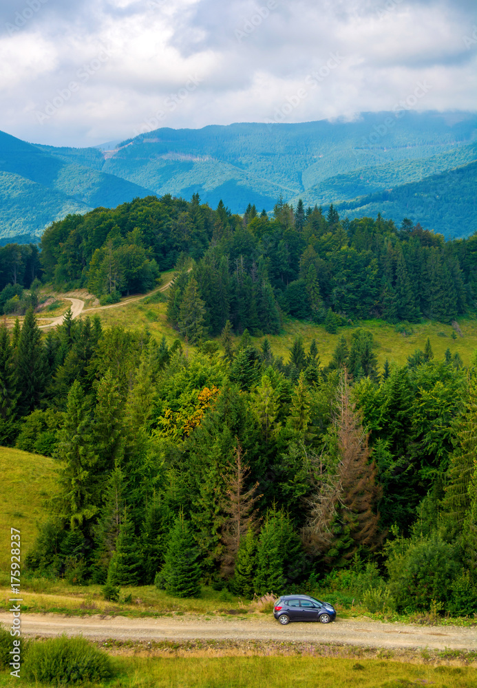 Photo of the car on road in green forest in Carpathian mountains