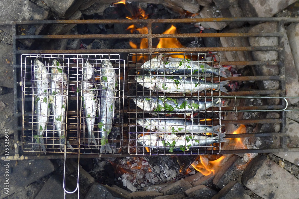 sardines grilled on open fire in the garden