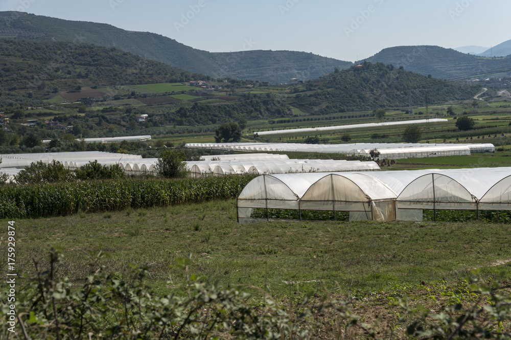 Greenhouses plantations in Albania