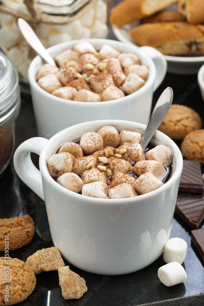 cocoa with marshmallows and cookies, vertical cocoa with marshmallows and cookies, vertical