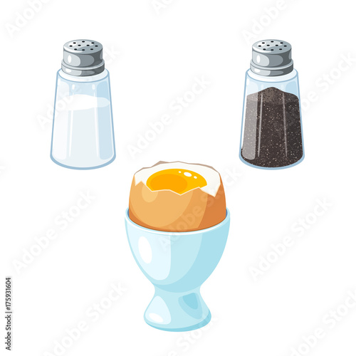 Soft boiled egg in eggshell in egg holder. Pair of transparent glass shaker, salt and pepper. Vector illustration cartoon flat icon set isolated on white.
