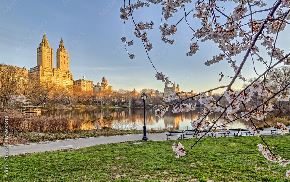 Fototapeta premium Central Park, New York City spring