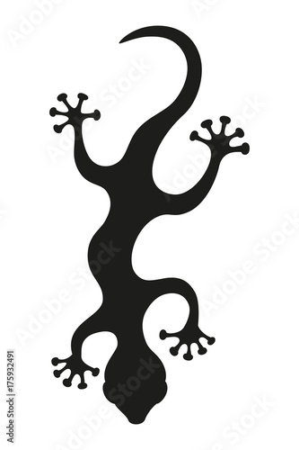 Wallpaper Mural Lizard silhouette on the white background. Torontodigital.ca