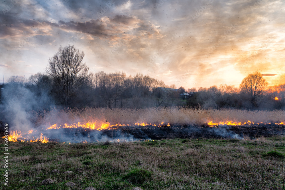 Fototapeta premium Fires sunset landscape