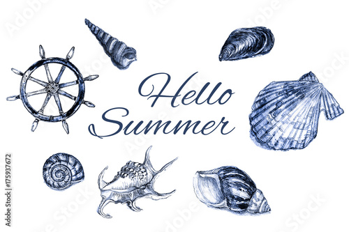 Hello summer text, vacation concept with blue shells © anniebrusnika